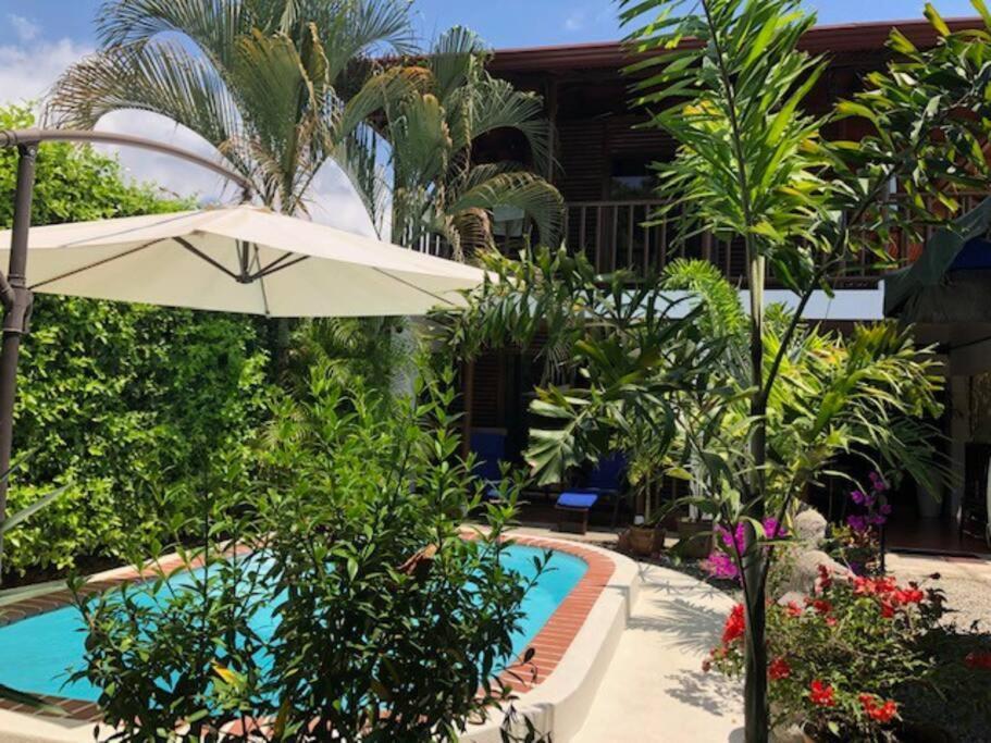 Casa Toucan Mit Privat Pool Near Np Ballena Uvita Luaran gambar