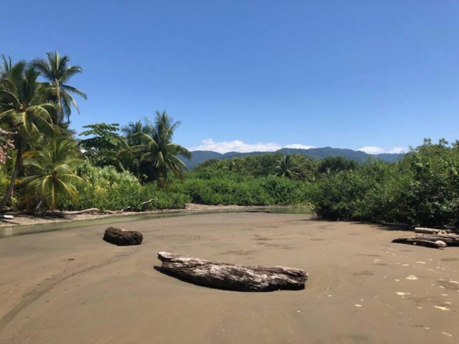 Casa Toucan Mit Privat Pool Near Np Ballena Uvita Luaran gambar