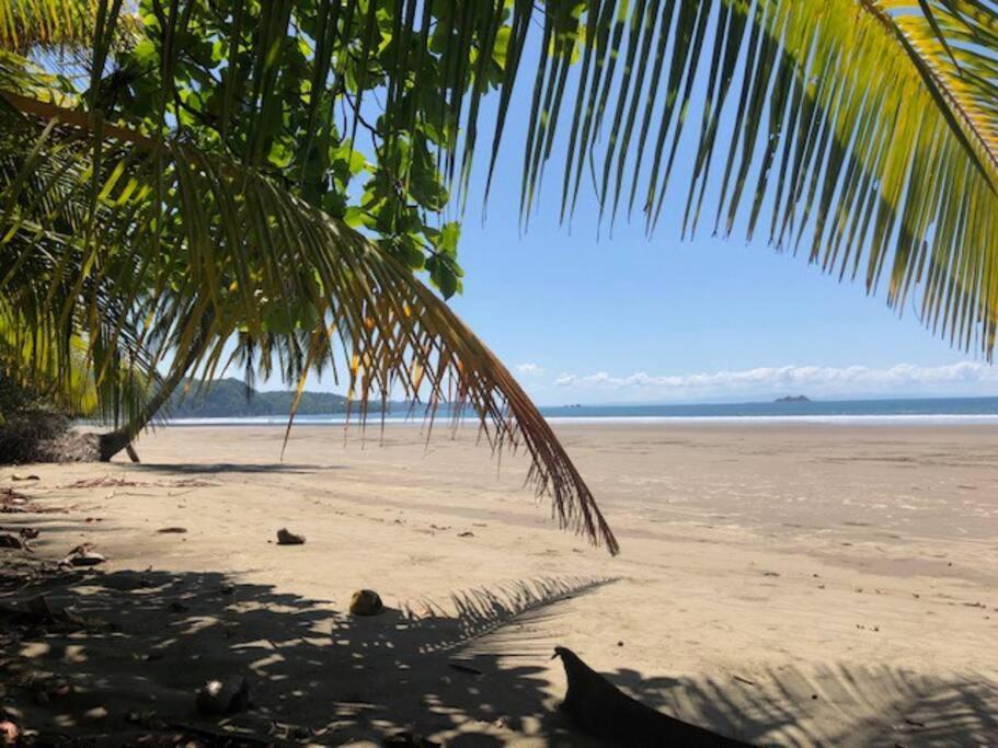 Casa Toucan Mit Privat Pool Near Np Ballena Uvita Luaran gambar