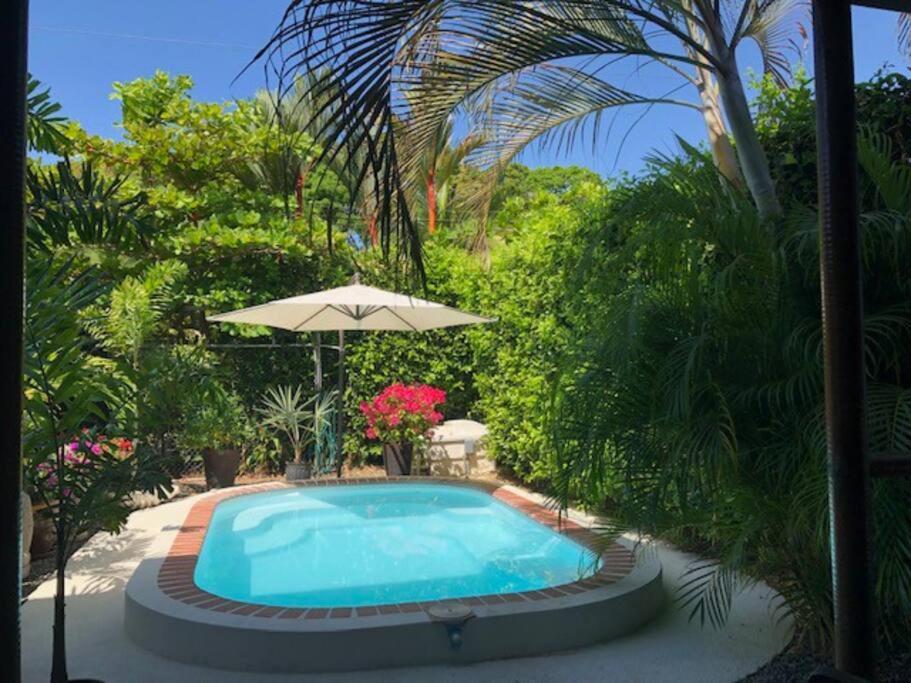 Casa Toucan Mit Privat Pool Near Np Ballena Uvita Luaran gambar