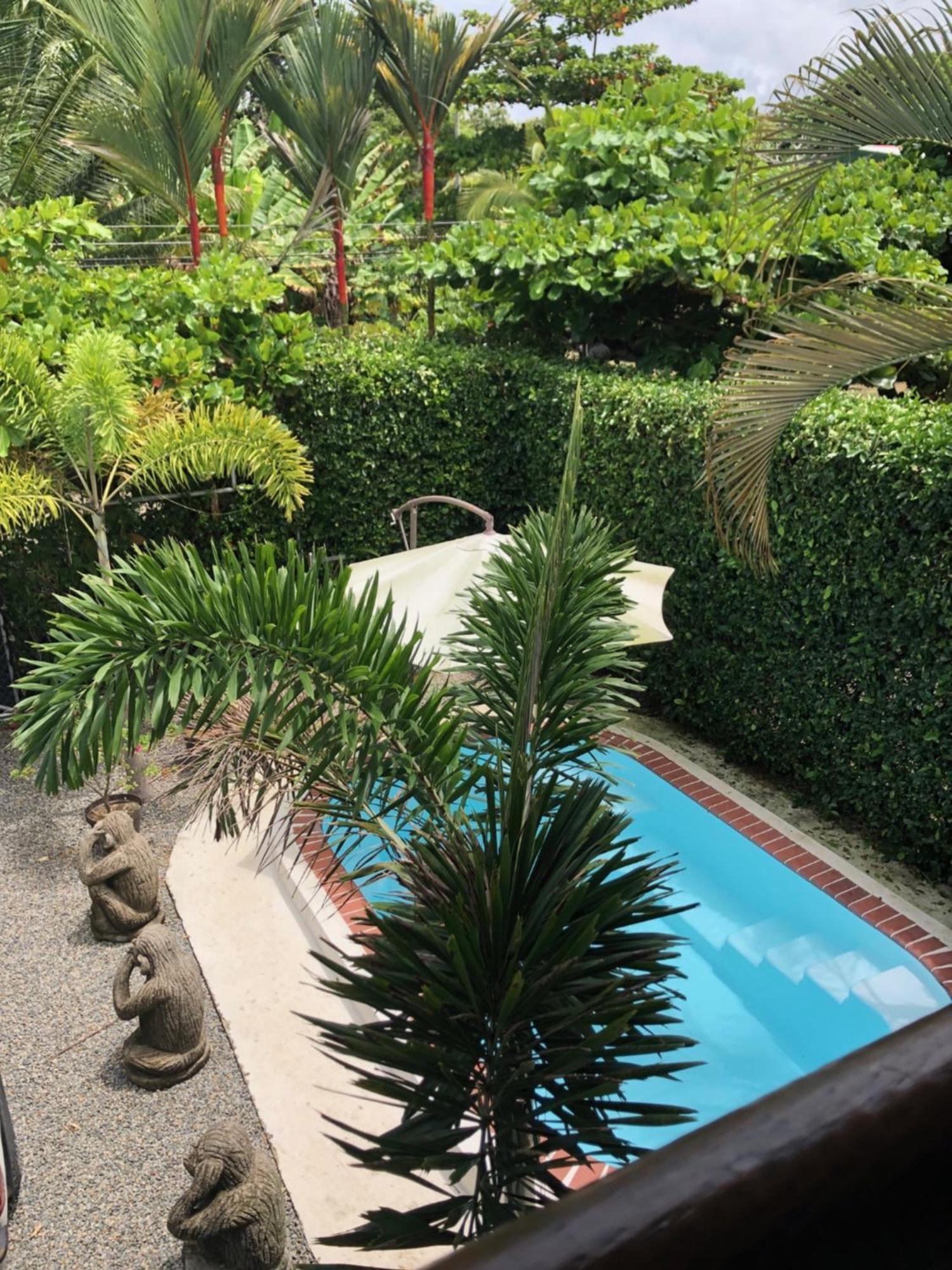 Casa Toucan Mit Privat Pool Near Np Ballena Uvita Luaran gambar