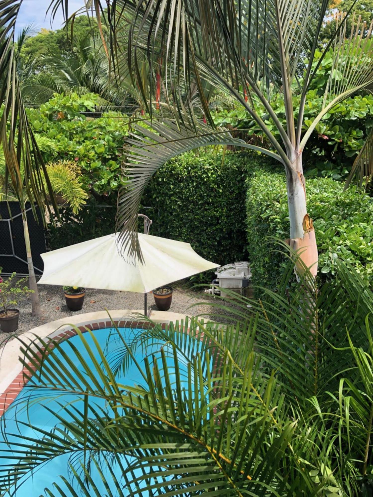 Casa Toucan Mit Privat Pool Near Np Ballena Uvita Luaran gambar